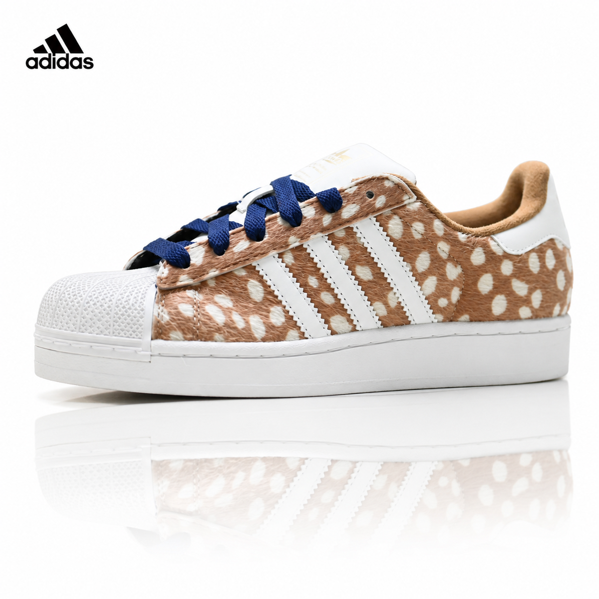 Exclusive Adidas Originals Superstar Classic Sneakers — EU 36 / US M4 / W5.5 / 23CM — Front View